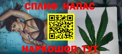 кокс Аша