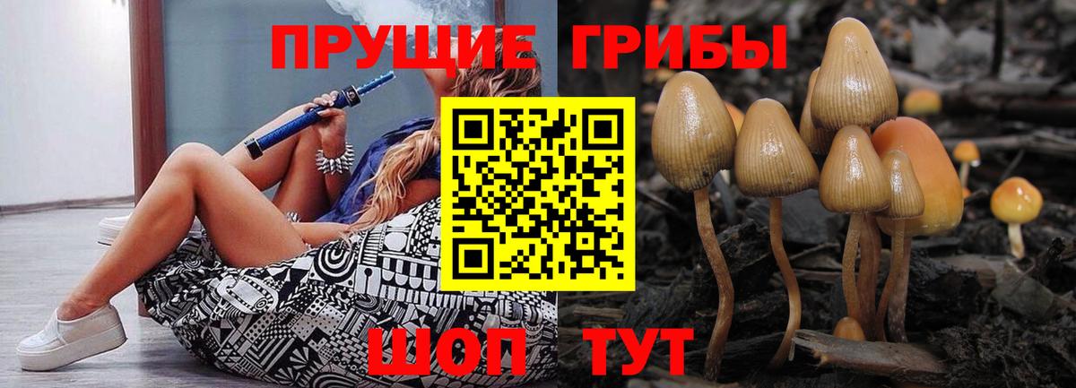 Владикавказ  Псилоцибиновые грибы прущие грибы  Вход с VPN 