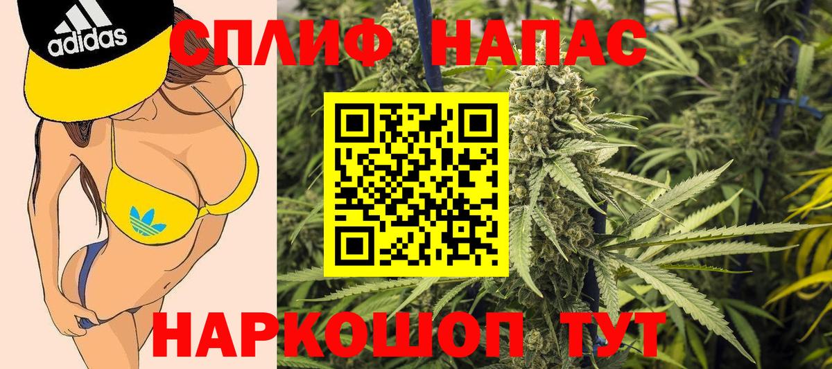 Бошки Шишки гибрид  Конопля тримм  Бошки марихуана марихуана  Конопля White Widow  Вход с VPN  Владикавказ 